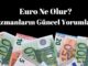 Euro ne olur uzmanların euro beklentileri