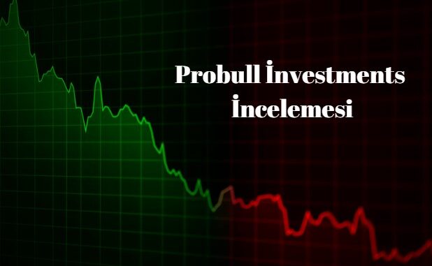Probull İnvestments incelemesi