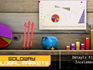 goldway global markets forex şirket analizi