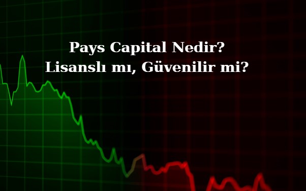 Pays Capital analizi, detaylı firma incelemesi