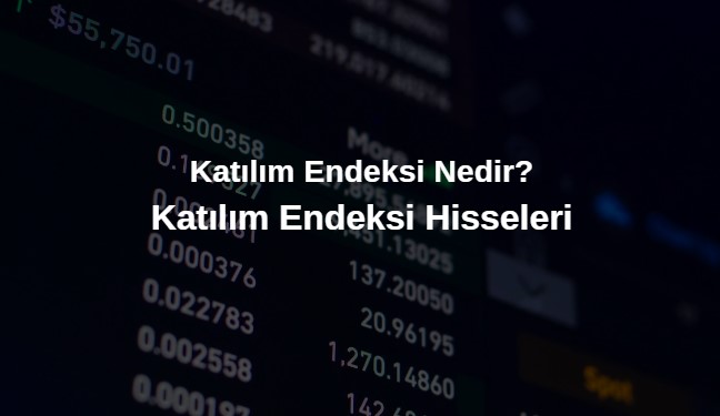 katılım endeksi nedir, katılım endeksine giren ve çıkan hisseler